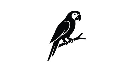 Parrot Perched On Branch Black Silhouette Against White Background © asma