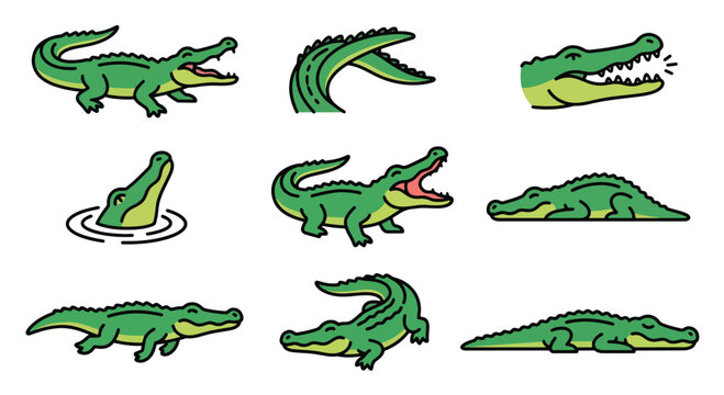 Green alligator vector characters in various swimming and biting poses