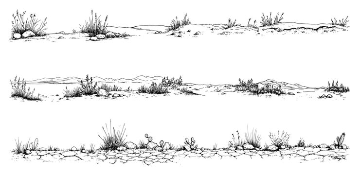 Arid desert landscape borders with cracked ground and cacti in vintage engraving style