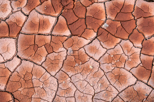 Close up of cracked dry soil texture with parched earth surface. Drought, climate change, water scarcity, desertification and environmental degradation. Abstract background. Ecological concept