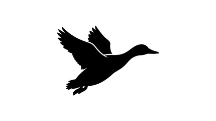 Fototapeta premium Flying duck silhouette isolated on white.