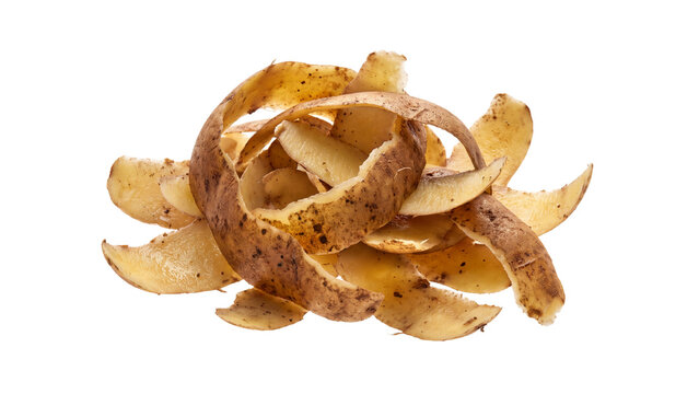 A pile of curled up potato peels isolated on transparent background