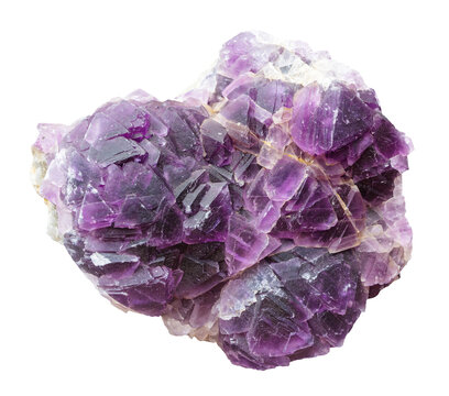 specimen of mineral from geological collection - natural purple fluorite crystals isolated on white background from Khuraiskoe deposit, Buryatia, Transbaikalia