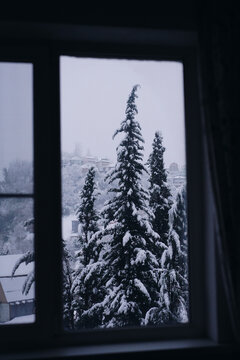 View From The Window In Winter