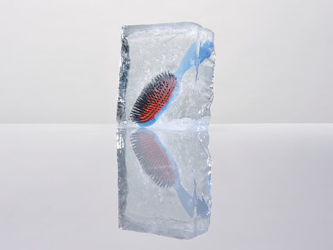 A hair brush frozen in a block of ice against a white background 