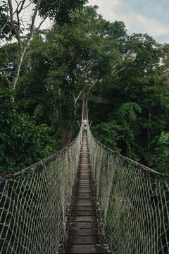 Woman Travel in Amazon Jungle South America
