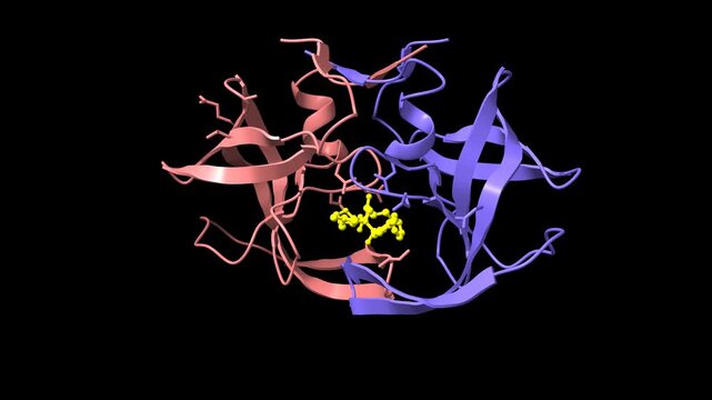Wild-type HIV-1 protease with antiviral drug amprenavir (yellow). Animated 3d cartoon and molecular surface model, PDB 3nu3, black background.