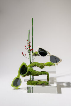 Unique sunglasses display with modern, nature-themed design