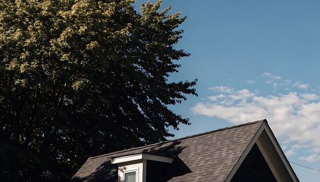 House roof with a dormer window under a large green tree and blue sky