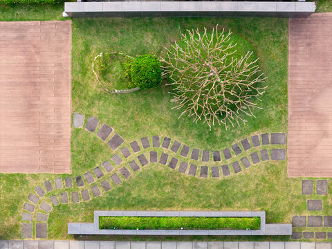 Minimalist Modern Rooftop Garden with Stone Pathways