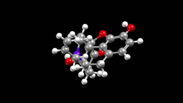 Structure of naloxone, an opioid antagonist. Animated 3D ball-and-stick and spacefill models, black background.