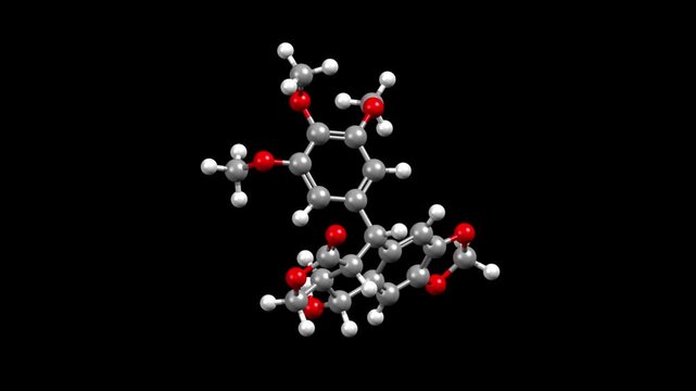 Structure of podophyllotoxin, an antiviral medication. Animated 3D ball-and-stick and spacefill models, black background.