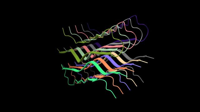 Human prion protein fibril, M129 variant. Animated 3D cartoon and molecular surface models, PDB 6uur, black background.