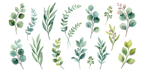 Set of watercolor eucalyptus leaves and green branches for floral decoration and wedding design ©  creative  marlia