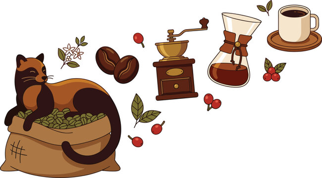Coffee Brewing and Roasting Collection with Civet Cat, Coffee Beans, Grinder, Pour Over Brewer, Fresh Cup, and Botanical Vector Illustration Set