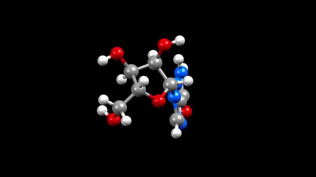Structure of ribavirin, an antiviral drug for hepatitis C. Animated 3D ball-and-stick and spacefill models, black background.