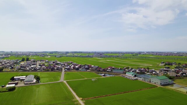 石川県小松市北部の加賀平野に広がる美しい水田のドローン空撮 高高度から下降するカット
