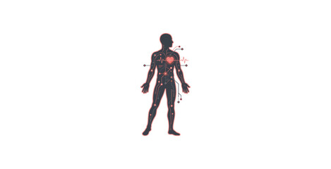 Obraz premium Human Body Digital Health Technology Vector