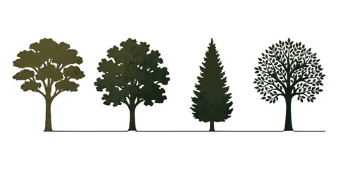 Set of four different forest trees including deciduous and coniferous species © md