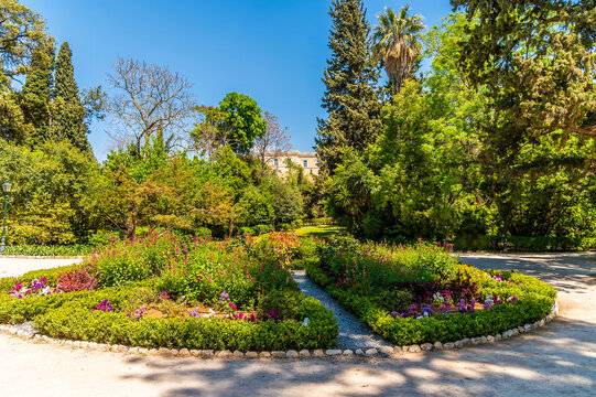 A view across a flower bed in the National Garden in Athens, Greece in early summertime