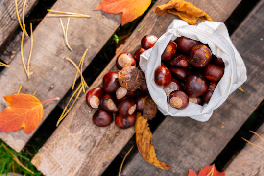 Organic chestnuts in a sack on rustic wooden surface