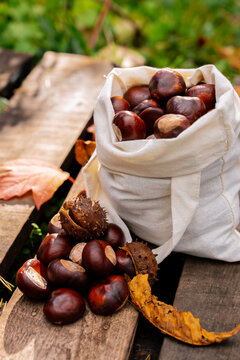 Harvested chestnuts in a cloth bag on wooden surface