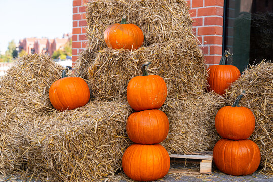 Pumpkins and hay bales as natural autumn decor