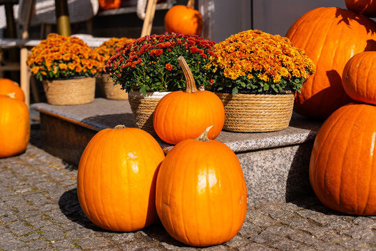 Autumn pumpkin decor with natural seasonal flair