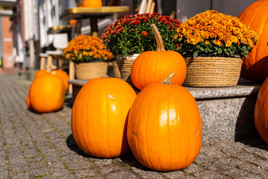 Autumn decor with pumpkins and seasonal flowers