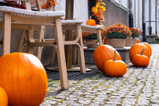 Pumpkins on a cobblestone path with autumn decor