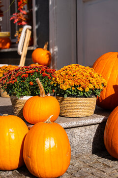Autumn pumpkin decor with flowers and natural accents