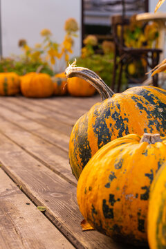 Rustic autumn pumpkins on wooden deck
