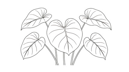 Minimalist tropical leaf line art vector, botanical monstera and philodendron foliage illustration, black and white plant outline for coloring © Rafay