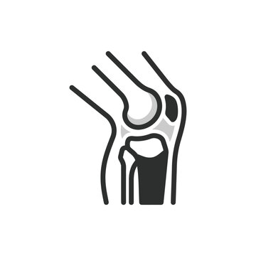 Anatomy of human wrist joint bones.