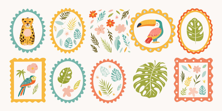 Tropical Floral And Animal Illustrations In Decorative Frames