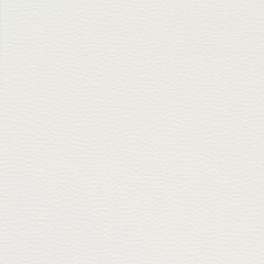 Fototapeta premium White synthetic leather grain texture monochromatic abstract background for surface design. Suitable for fashion, interior design, and product packaging.