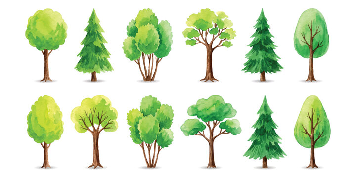 Collection of various green trees and pine trees in a flat vector illustration style set