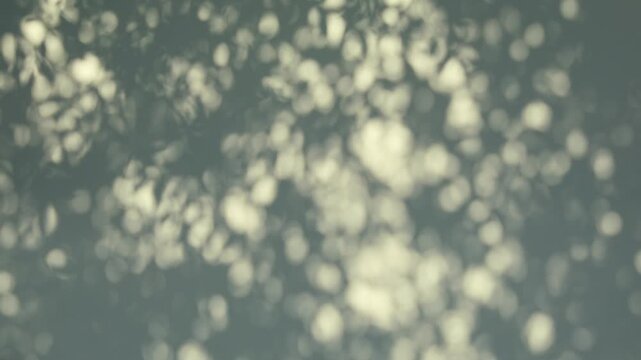 Bokeh from leaves shadows silhouette on wind overlay abstract green background, soft light reflection from leaves, tree branch or foliage in summer sunlight.