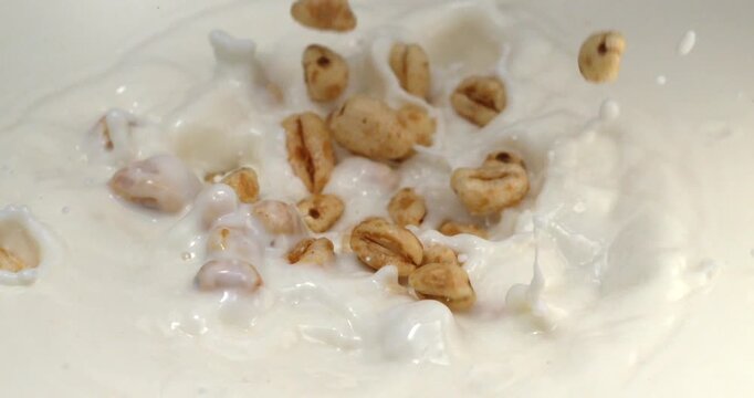Puffed wheat falling into milk with splash in super slow motion 1000 fps