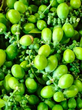 Close up of harvested fresh green melinjo seeds (Gnetum gnemon) with stems, raw tropical ingredient