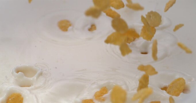 Corn flakes falling into milk or yogurt with splash in super slow motion 1000 fps
