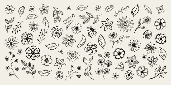 Floral ornament illustration with sketched leaves and blossoms on a beige background