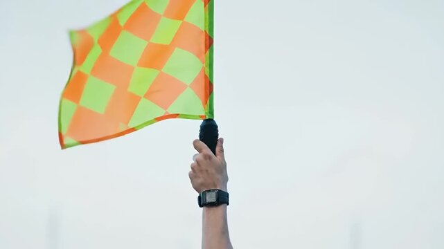 Person holding a checkered flag.