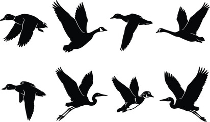 Flying ducks geese and heron silhouette vector set featuring waterfowl and wading birds in flight © MstRowshan