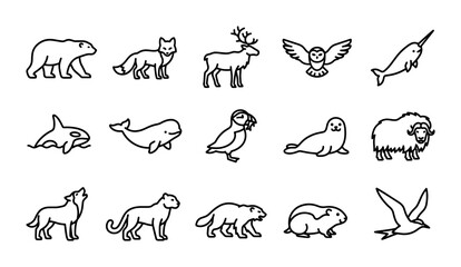 Arctic Animals Vector Icon Set, 15 Black Line Art Wildlife Illustrations, Polar Creatures Collection © Riyad