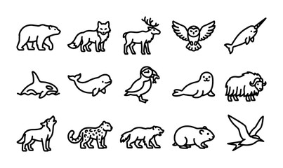 Arctic Animals Vector Icon Set, 15 Minimalist Northern Wildlife Illustrations, Line Art Collection © Riyad