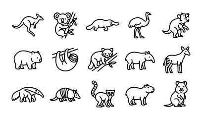 Fototapeta premium Australian and South American Animals, 15 Black Line Icons, Exotic Wildlife Vector Collection