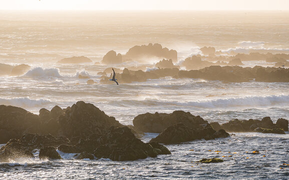 Rocky coastline at sunrise in Portugal
