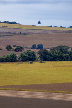 Compress&atilde;o de planos na paisagem rural.