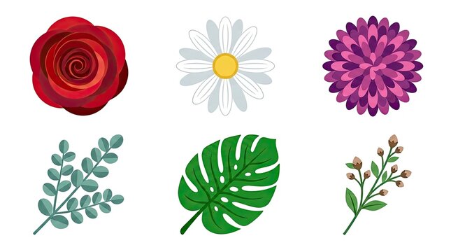 set of flowers